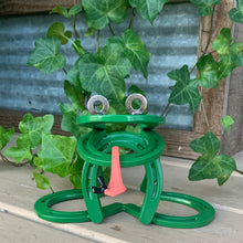 Load image into Gallery viewer, Frog