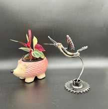 Load image into Gallery viewer, Hummingbird - Medium