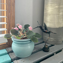 Load image into Gallery viewer, Hummingbird - Medium