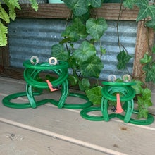 Load image into Gallery viewer, Frog