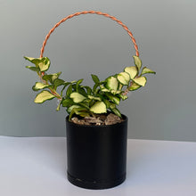 Load image into Gallery viewer, Circle Plant Trellis
